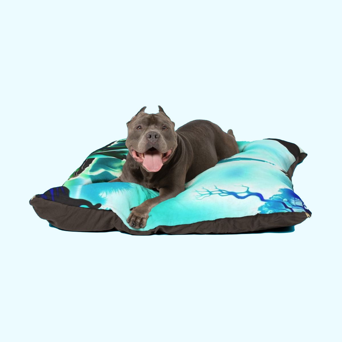 Pet Beds