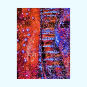 Rhone Orange - Matte Poster