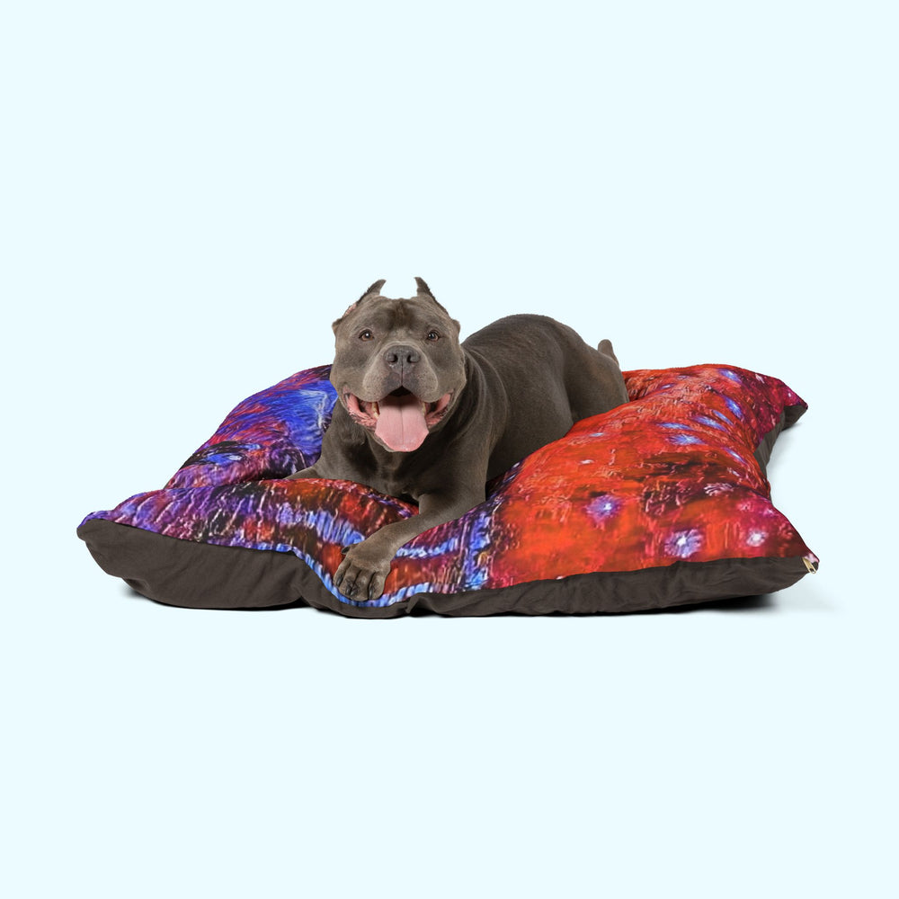 Rhone Orange - Pet Bed