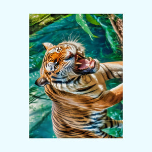 Orange Bengal - Matte Poster