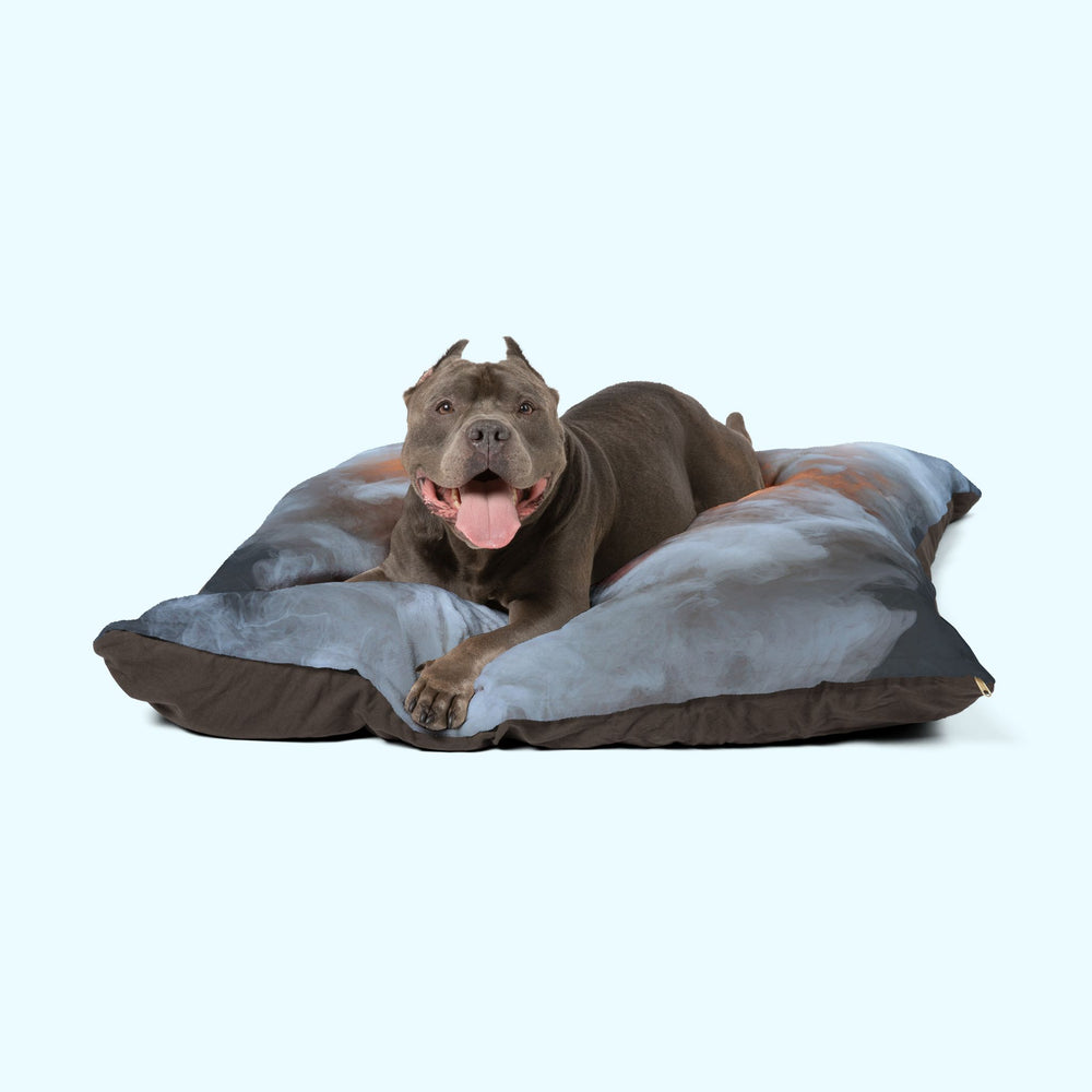 Inner Fire - Pet Bed