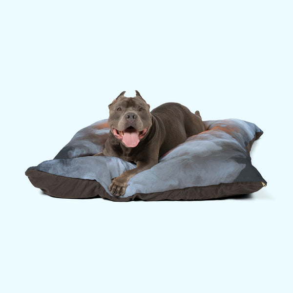 Inner Fire - Pet Bed