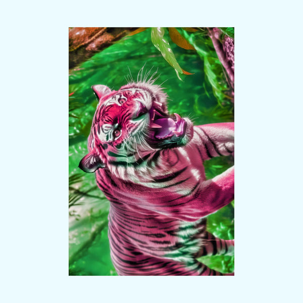 Strawberry Bengal - Matte Poster