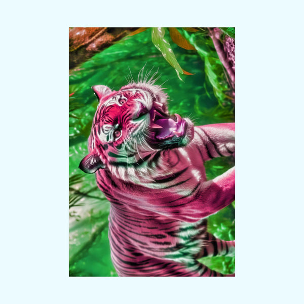 Strawberry Bengal - Matte Poster