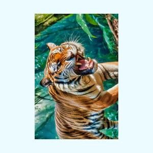 Orange Bengal - Matte Poster