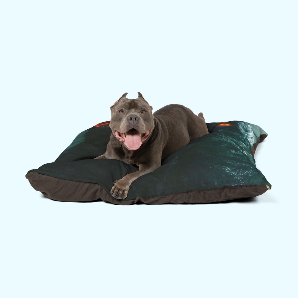 Smoky Wraith - Pet Bed