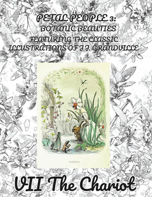 Petal People 3: Botanic Beauties