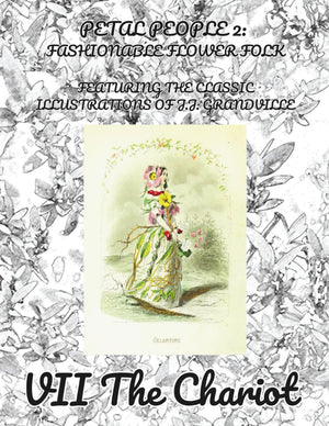 Petal People 2: Fashionable Flower Folk