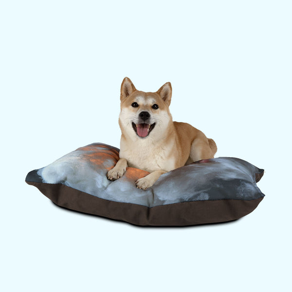 Inner Fire - Pet Bed