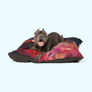 Dreams - Pet Bed
