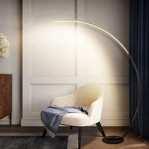 New Modern Curve Floor Lamp | 358 Light effects