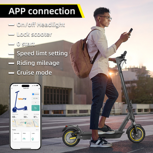 VoltStrider™ DMAXX App-Connected Electric Scooter